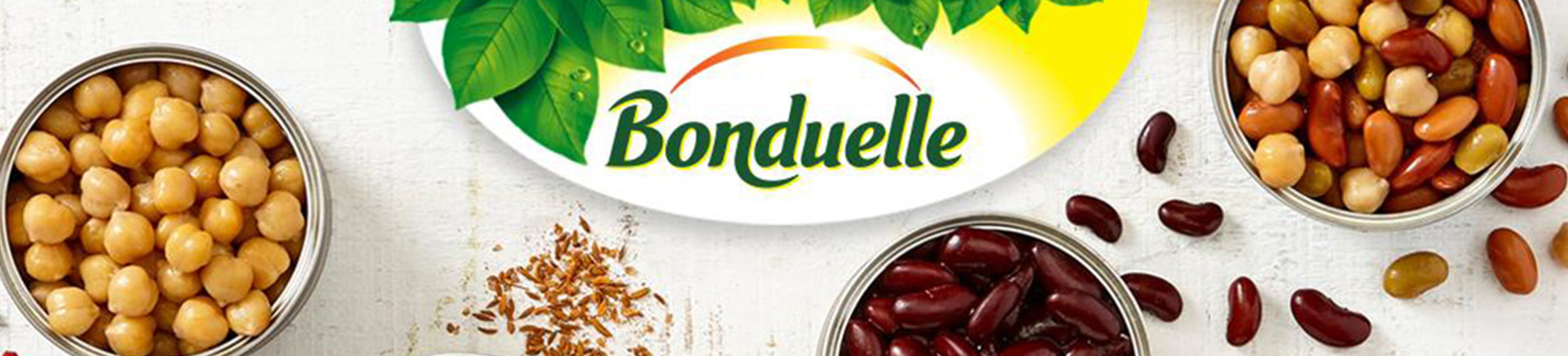 BONDUELLE 2200X500